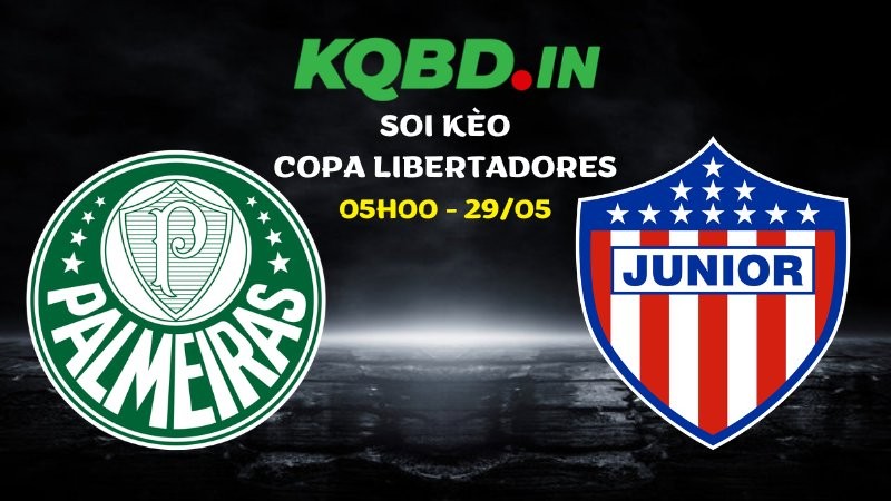 Nhận định Palmeiras vs Junior FC ngày 29/05/2026 | Copa Libertadores 11 Nhận định Palmeiras vs Junior FC ngày 29/05/2026 | Copa Libertadores